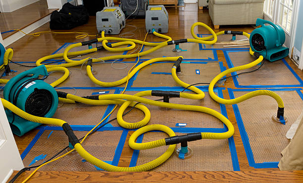 Professional Water Extraction technician working in Sandia Park, NM